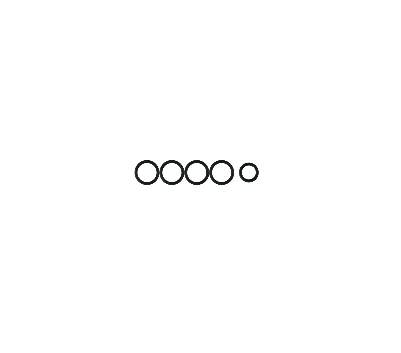Комплект уплотнительных колец NSK PTL O-ring Set (5 шт.)